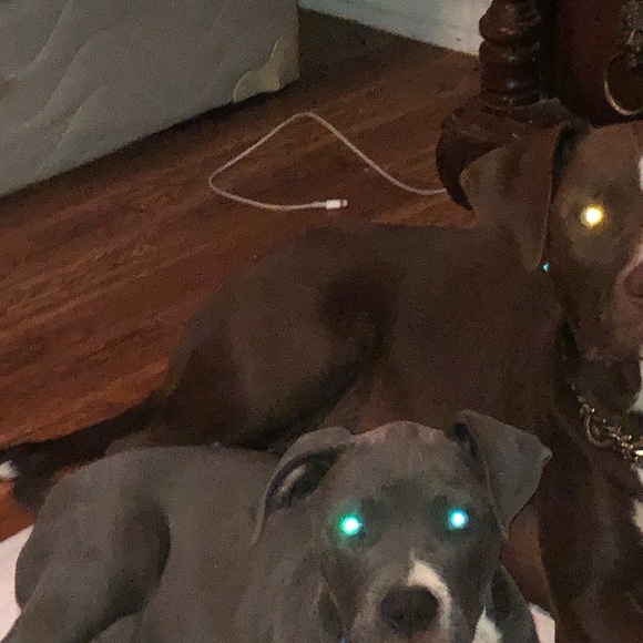 Meet your Posher, Jared - Picture 1 of 1